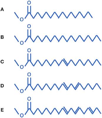 A Bio-Diesel Chemical Kinetic Mechanism Based on Decoupling Methodology and Detailed H2/O2/CO/C1~C3 Mechanism
